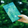 Parches para cubrir manchas de Tea-Trica (22 unidades)
